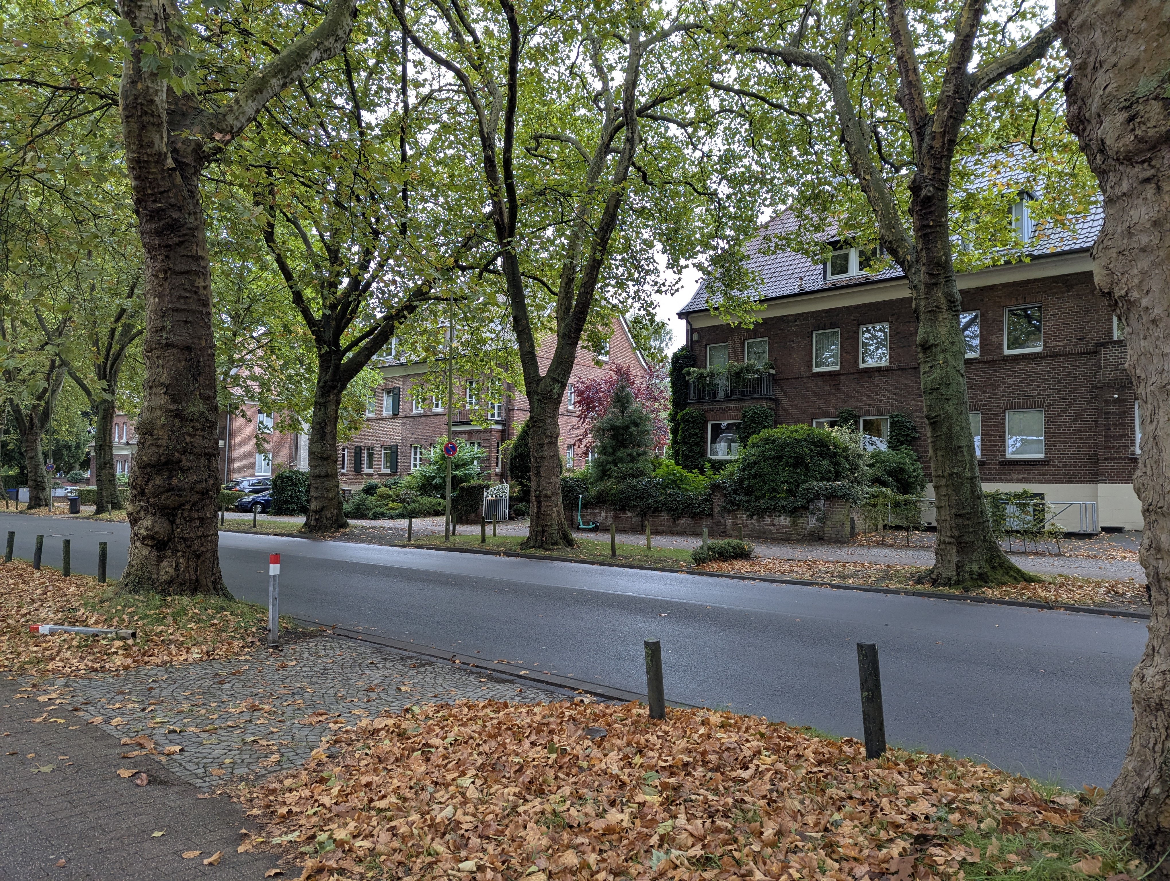 Botonic Gardens, Muenster, Germany